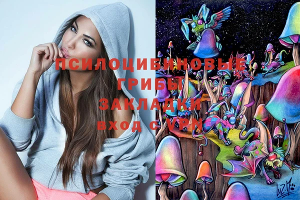 кокаин премиум Алексеевка