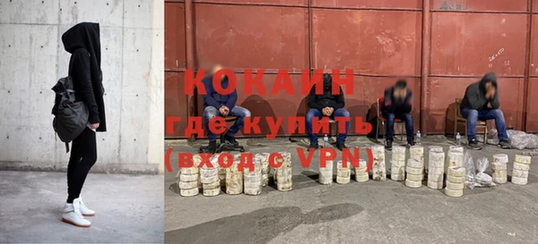 прущие грибы Зеленодольск