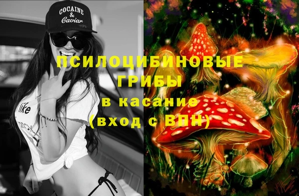 мяу мяу мука Алексин