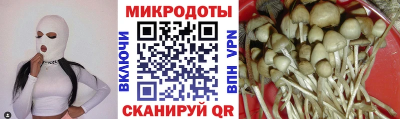 блэк спрут   Нижнеудинск  Псилоцибиновые грибы прущие грибы  закладки 